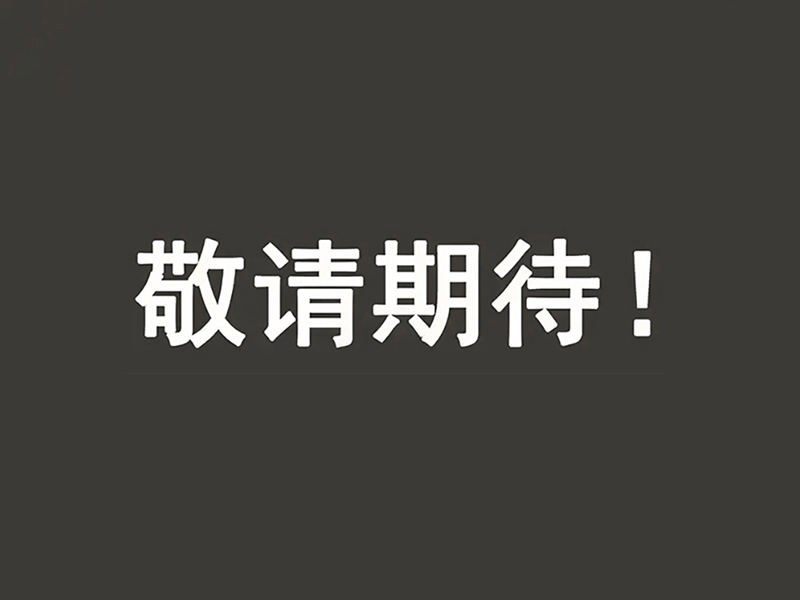 ​上海金太阳文旅研究院深入阳澄湖  把脉文旅发展新图景​